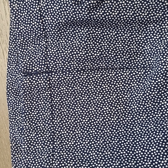 EUC Talbots Pants Women's sz 10P Blue/White Polka Dot Chatham Ankle Pant - Picture 5 of 14